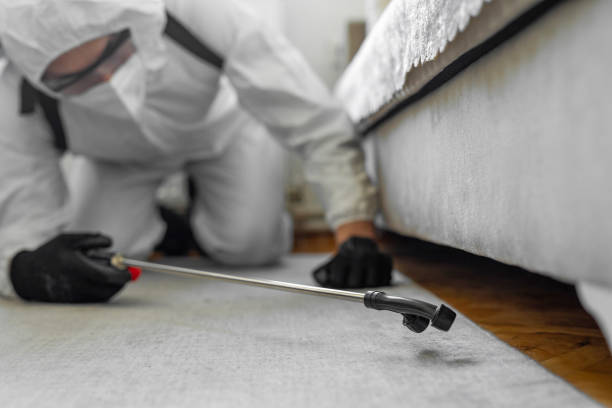 Professional Cockroach Control technician working in Arlington, OH
