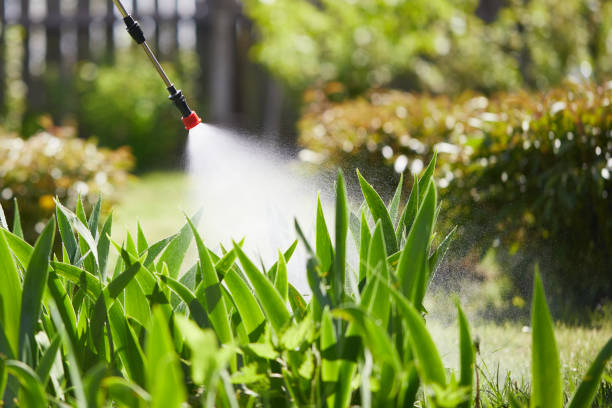 24/7 Emergency Cockroach Control experts in Arlington, OH