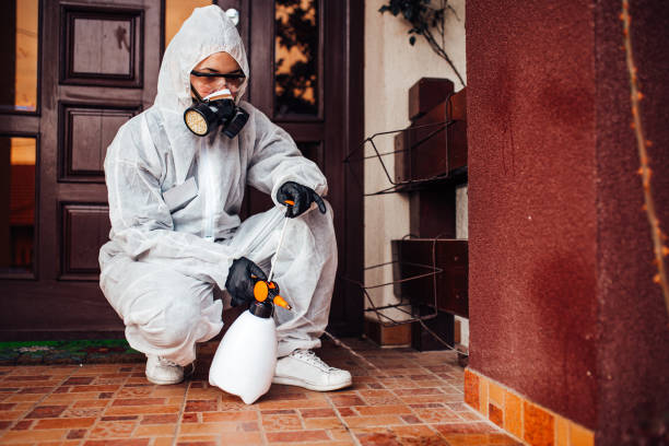 Reliable Cockroach Control contractor in Arlington, OH by Nex Pest Control